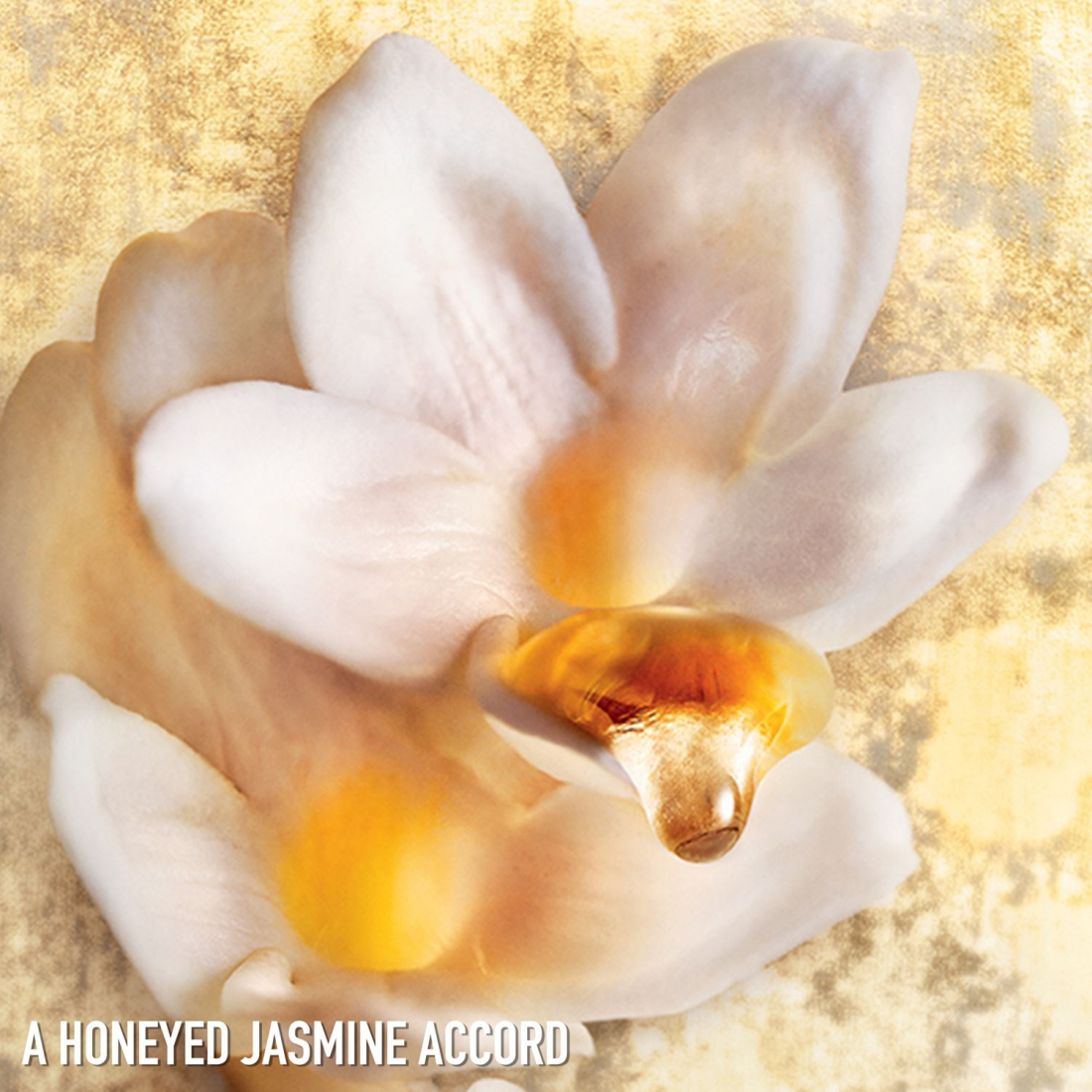 'J'adore Absolu' Eau de parfum - 50 ml