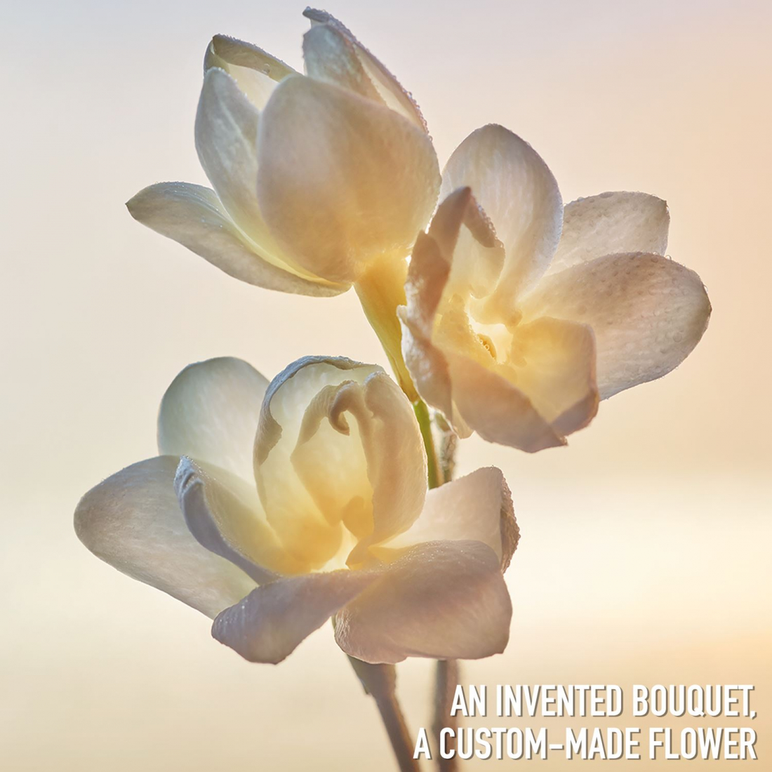 Eau de Parfum - Roll-on 'J'Adore' - 20 ml