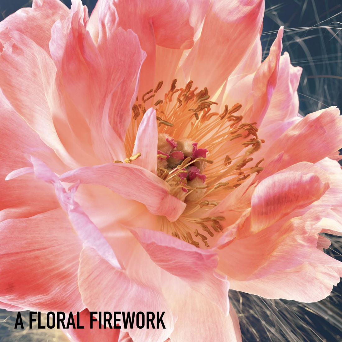 Eau de parfum 'Joy Intense' - 50 ml