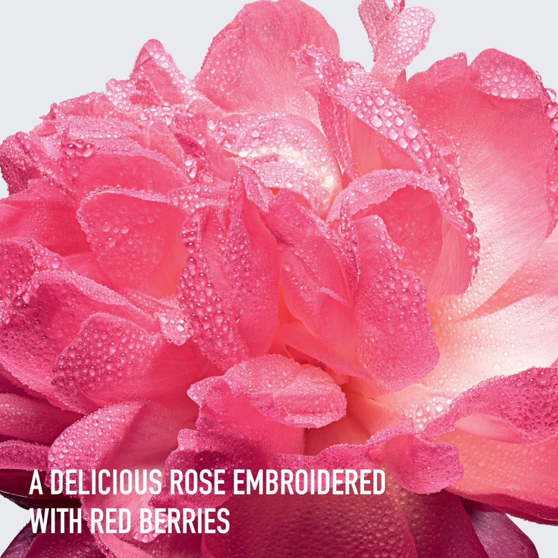 Eau de parfum 'Miss Dior Absolutely Blooming' - 100 ml