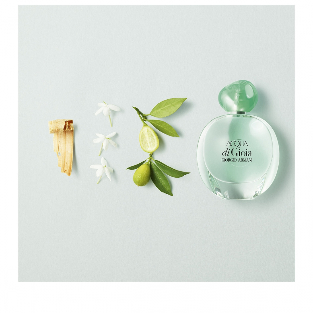 Eau de parfum 'Acqua Di Gioia' - 30 ml