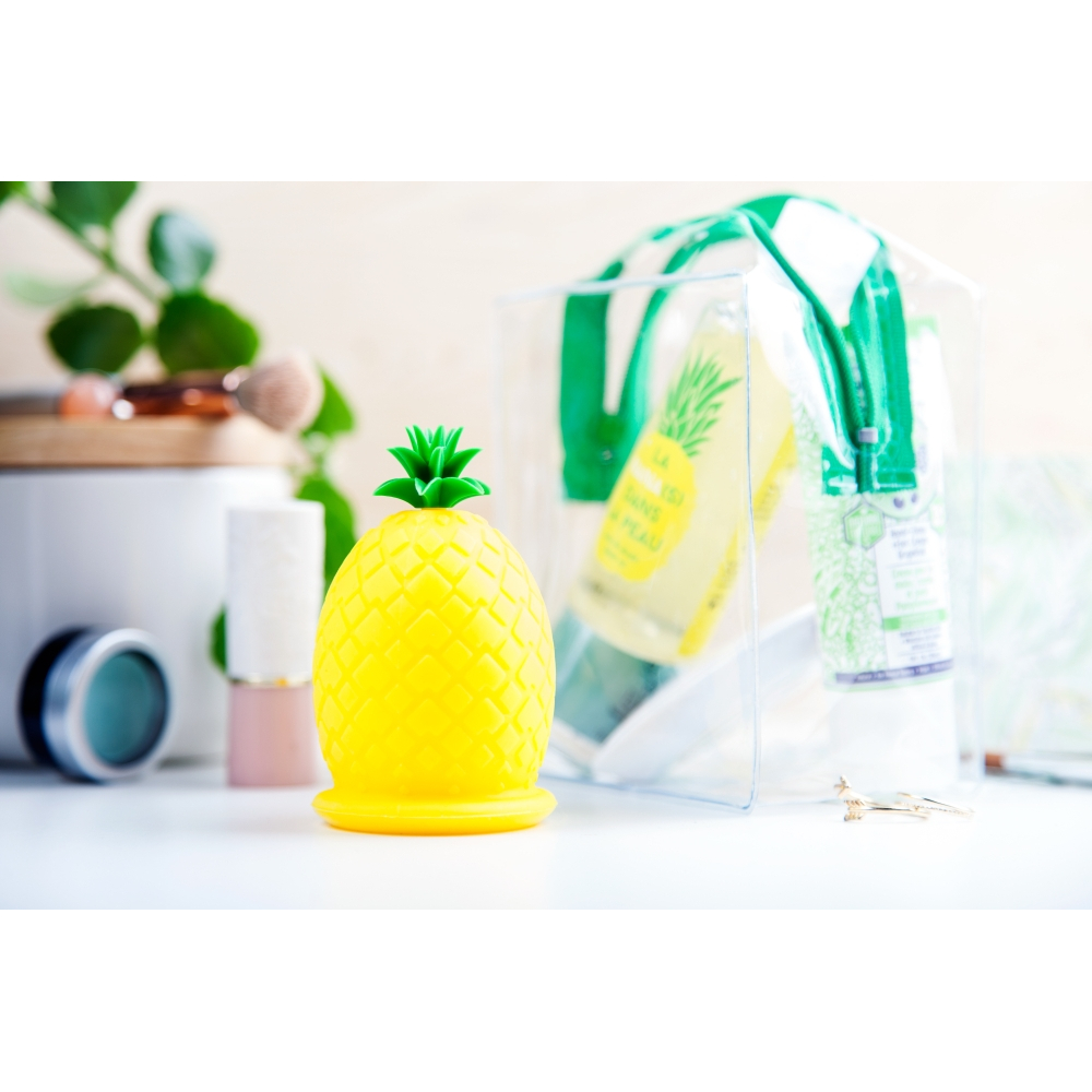 'Pineapple' Body Care Set