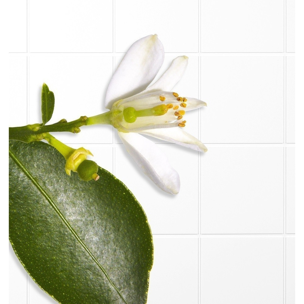 'Néroli Bigarade' Bath & Shower Gel - 250 ml