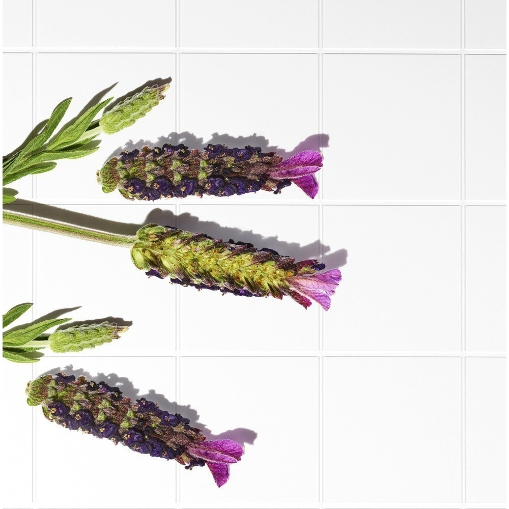 'Lavande Fine' Bath & Shower Gel - 250 ml