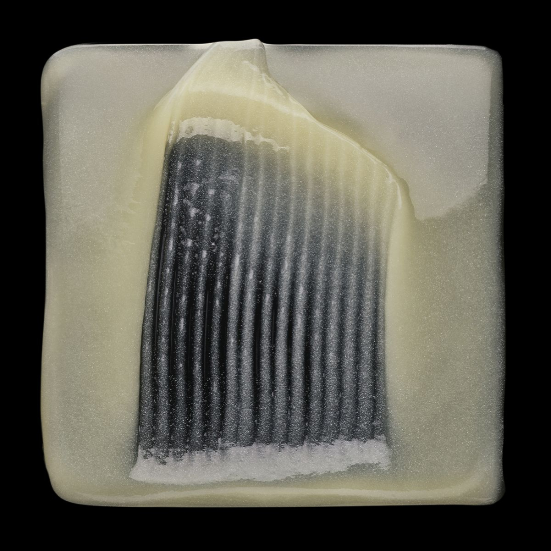 Shampoing 'Absolut Repair' - 300 ml