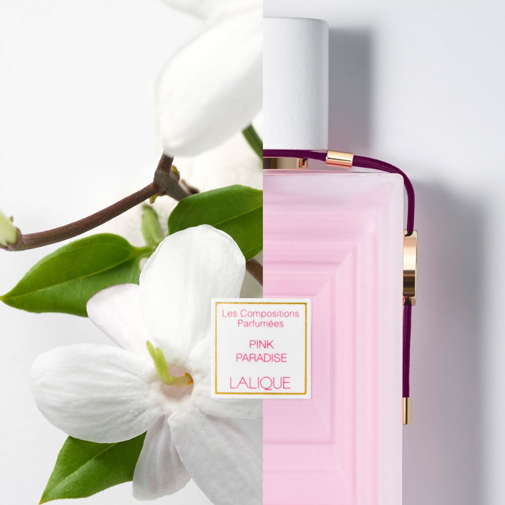 Eau de parfum 'Les Compositions Parfumees Pink Paradise' - 100 ml