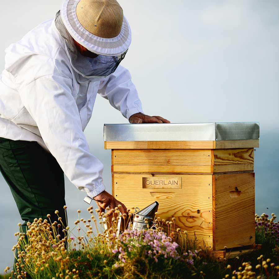 Huile pour le visage 'Abeille Royale Advanced Youth Watery' - 50 ml