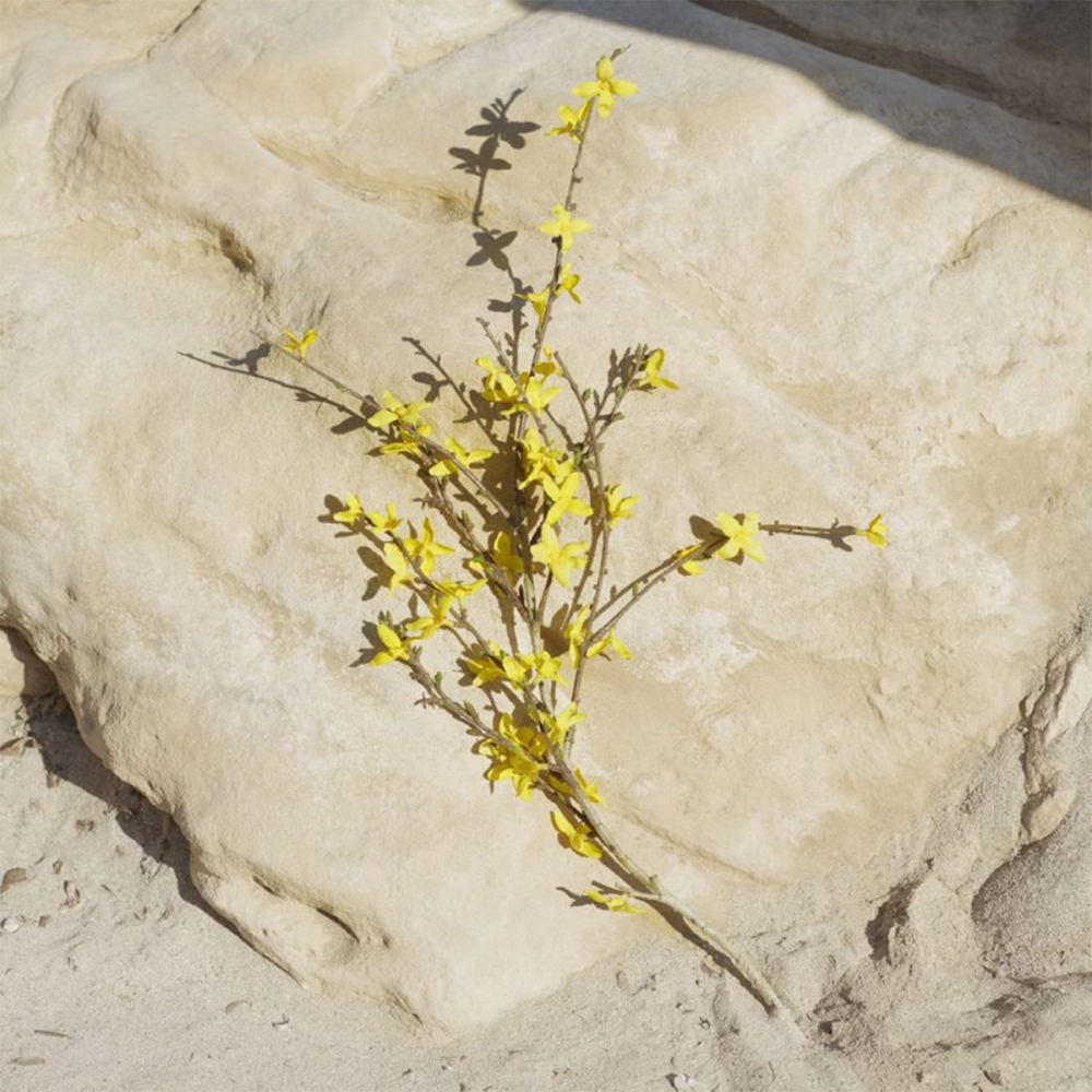 'Sun Limited Edition' Eau De Toilette - 125 ml