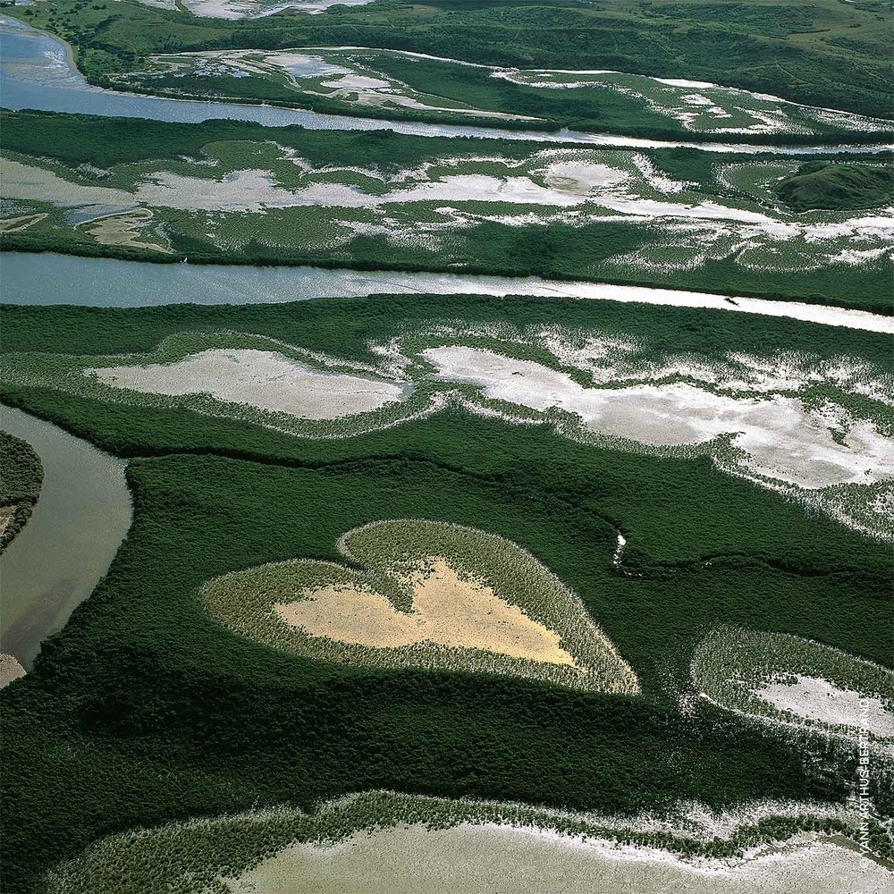 'Aqua Allegoria Flora Salvaggia' Eau De Toilette - 125 ml