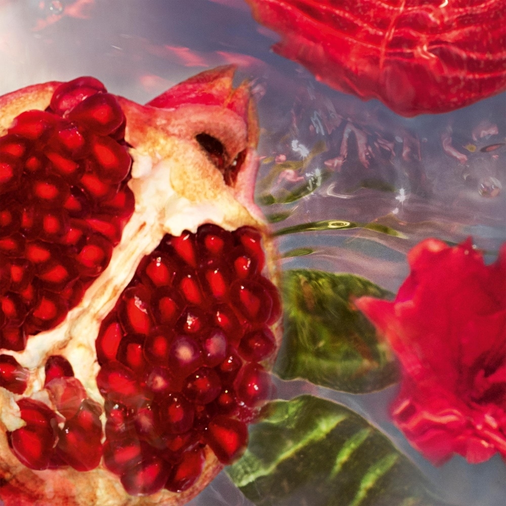 Eau de toilette 'Aqua Allegoria Granada Salvia' - 125 ml