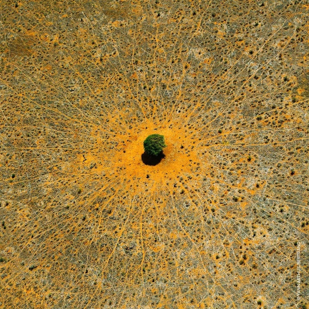 'Aqua Allegoria Mandarine Basilic' Eau De Toilette - 125 ml