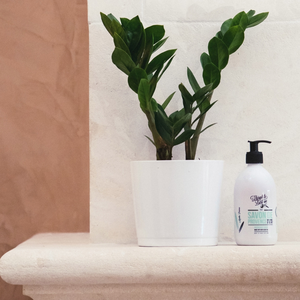 'De Provence Surgras' Liquid Soap - Menthe Poivrée 500 ml