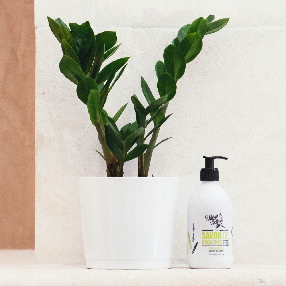 'De Provence Surgras' Liquid Soap - Verveine Agrumes 500 ml