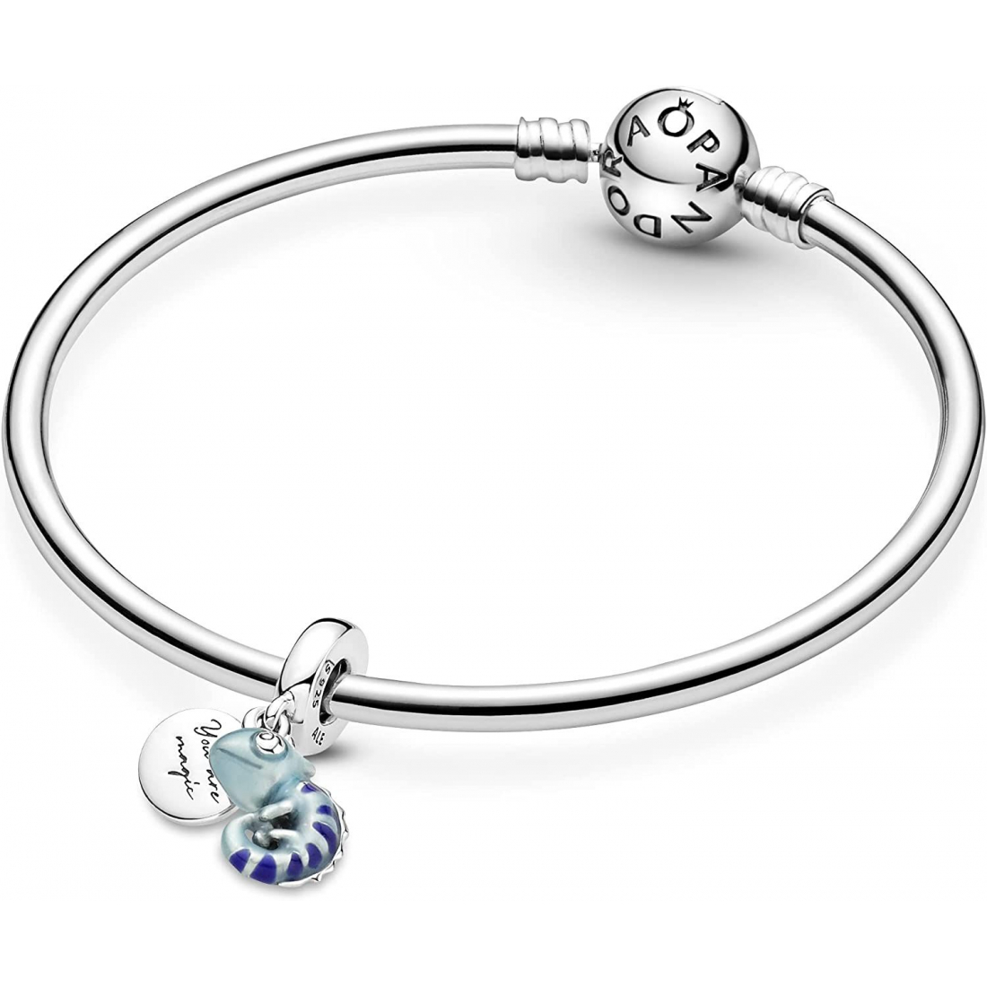 Women's 'Chameleon' Charm