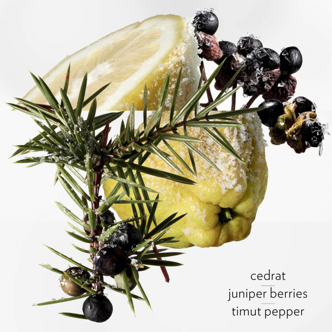 Eau de Parfum - Rechargeable 'Terre dHermès Eau Givrée' - 100 ml