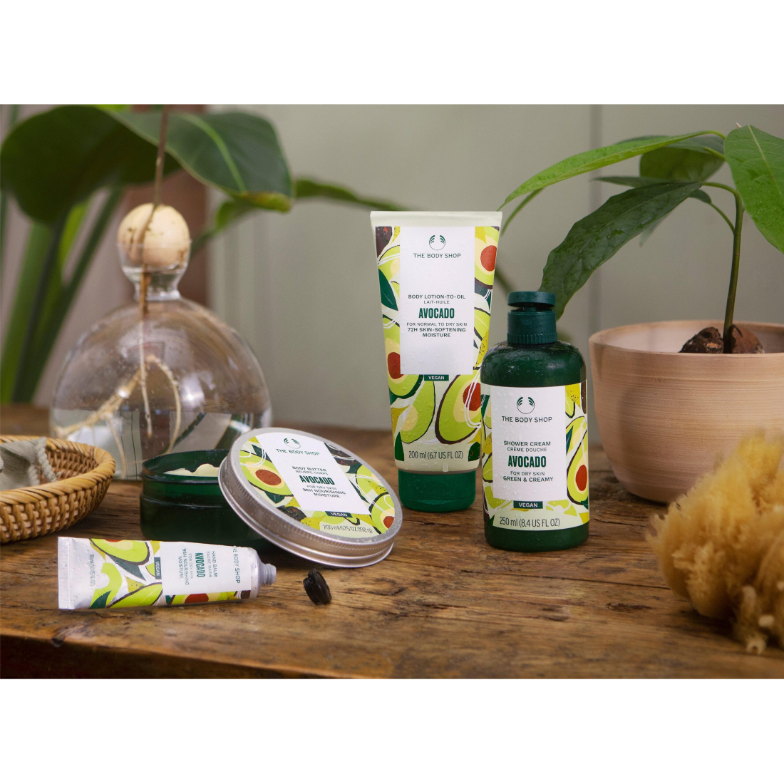 'Avocado' Oil Lotion - 200 ml