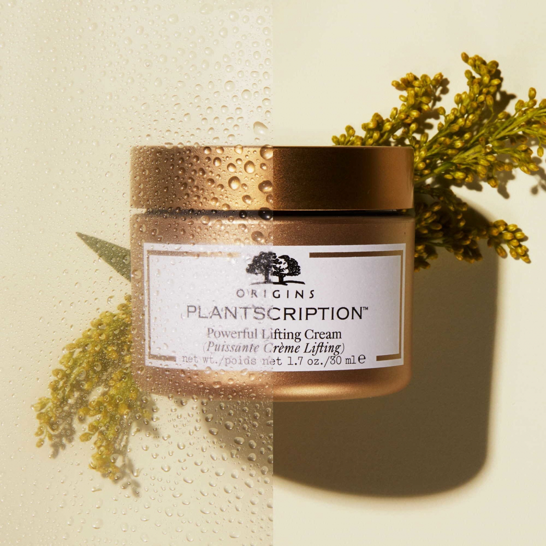 Crème liftante 'Plantscription™ Powerful' - 50 ml