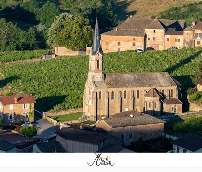 MyPrivateCellar - Domaine Olivier Merlin