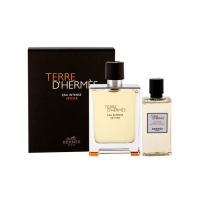 Hermès 'Terre D'Hermes Eau Intense Vetiver' Parfüm Set - 2 Stücke
