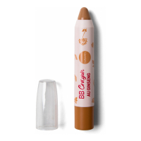 Erborian 'Stick De Teint Et De Soin' BB Crayon - Caramel 3 g