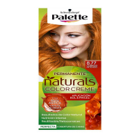 Palette Teinture pour cheveux 'Palette Natural' - 6.88 Intense Red