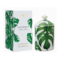 StoneGlow 'Coconut Lime Zest' Scented Candle - 300 g