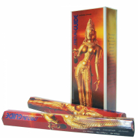 Laroom 'Spiritual Guide' Incense Sticks -  20 Units, 12 Boxes