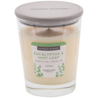 Candle-Lite Bougie parfumée - Eucalyptus & Mint Leaf 255 g