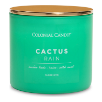 Colonial Candle Bougie parfumée 'Cactus Rain' - 411 g