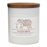 Colonial Candle Bougie parfumée 'Wellness Collection' - Golden Amber 453 g