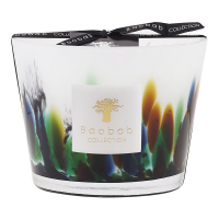 Baobab Collection 'Amazonia' Scented Candle - 16 cm x 10 cm