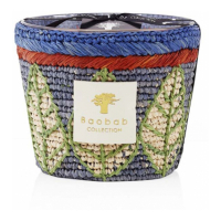 Baobab Collection 'Manga' Scented Candle - 16 cm x 10 cm