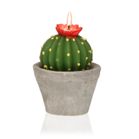 Versa Home 'Cactus With Pot' Kerze