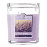 Colonial Candle Bougie parfumée 'Colonial Ovals' - French Lavender 226 g