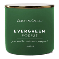Colonial Candle 'Pop of Color' Duftende Kerze - Evergreen Forest 411 g