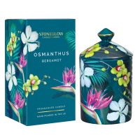 StoneGlow Bougie parfumée 'Osmanthus Bergamot' - 300 g