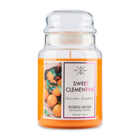Purple River 'Sweet Clementine' Scented Candle - 623 g