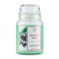 Purple River Bougie parfumée 'Acai Palm Aloe' - 623 g