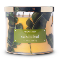Colonial Candle Bougie parfumée 'Tropic Cabana Leaf' - 411 g