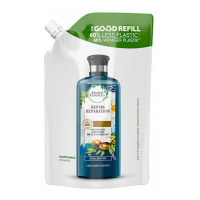 Herbal 'Argan Oil Refill' Shampoo - 480 ml