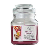 Purple River 'Red Apple Cinnamon' Scented Candle - 113 g