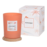 AVA & MAY Bougie parfumée 'Barbados' - 180 g