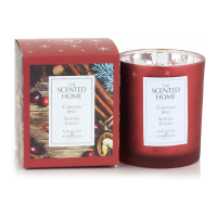 Ashleigh & Burwood 'Christmas Spice' Scented Candle - 225 g