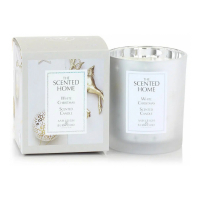 Ashleigh & Burwood 'White Christmas' Scented Candle - 225 g