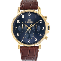 Tommy Hilfiger Men's '1710380' Watch