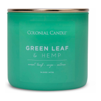 Colonial Candle Bougie parfumée 'Green Leaf' - 411 g