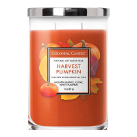 Colonial Candle Bougie parfumée 'Harvest Pumpkin' - 311 g