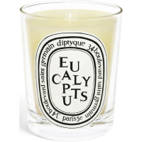 Diptyque 'Eucalyptus' Scented Candle - 190 g