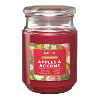 Candle-Lite Bougie parfumée 'Apples & Acorns' - 510 g