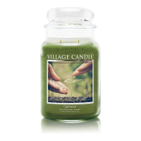 Village Candle 'Optimism' Scented Candle - 737 g